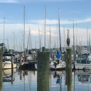 Meet your Posher, Amy